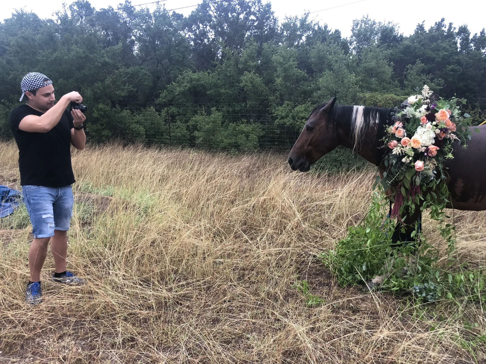 Behind the scenes at the horse photo shoot: a photographer in a black T-shirt and checkered cap takes a picture of a horse wearing a floral garland in a grassy field.