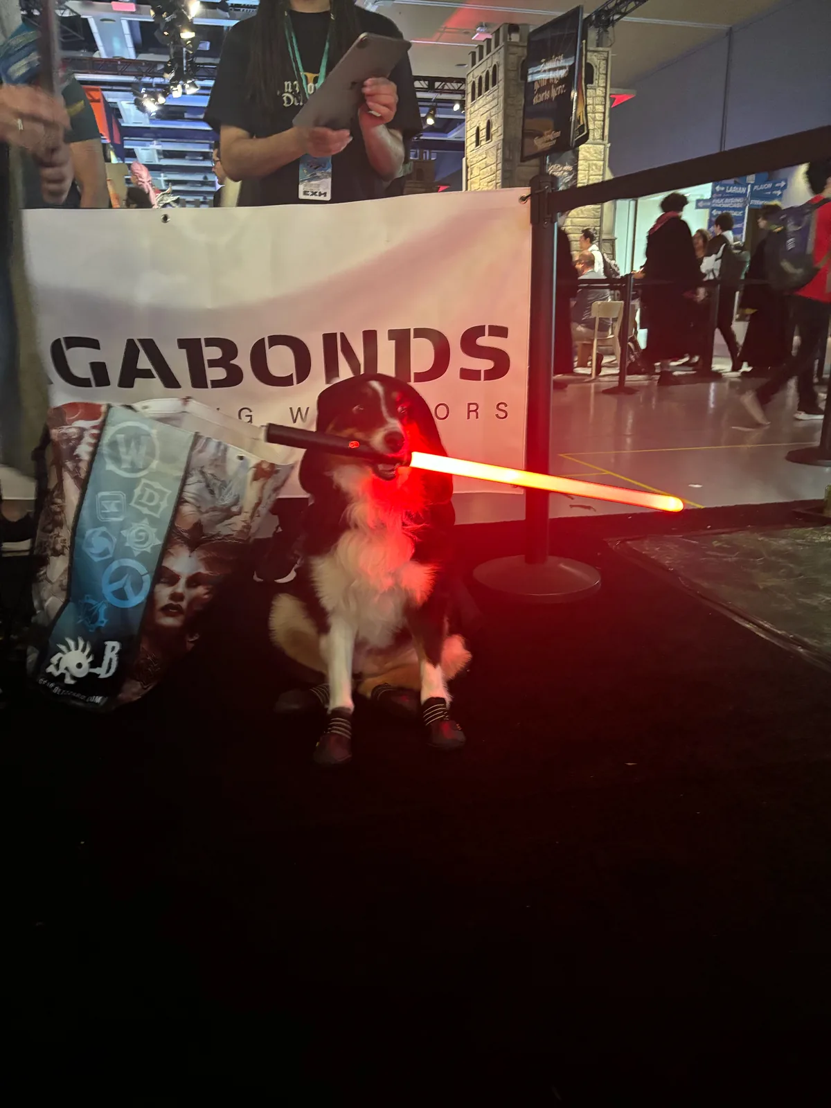A black and white dog in little socks sits in front of a Vagabonds banner with a glowing red lightsaber in its mouth.
